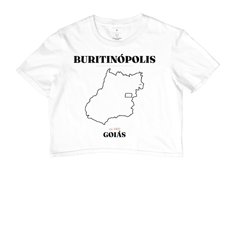 Buritinópolis | Legado GO - Imagem 3