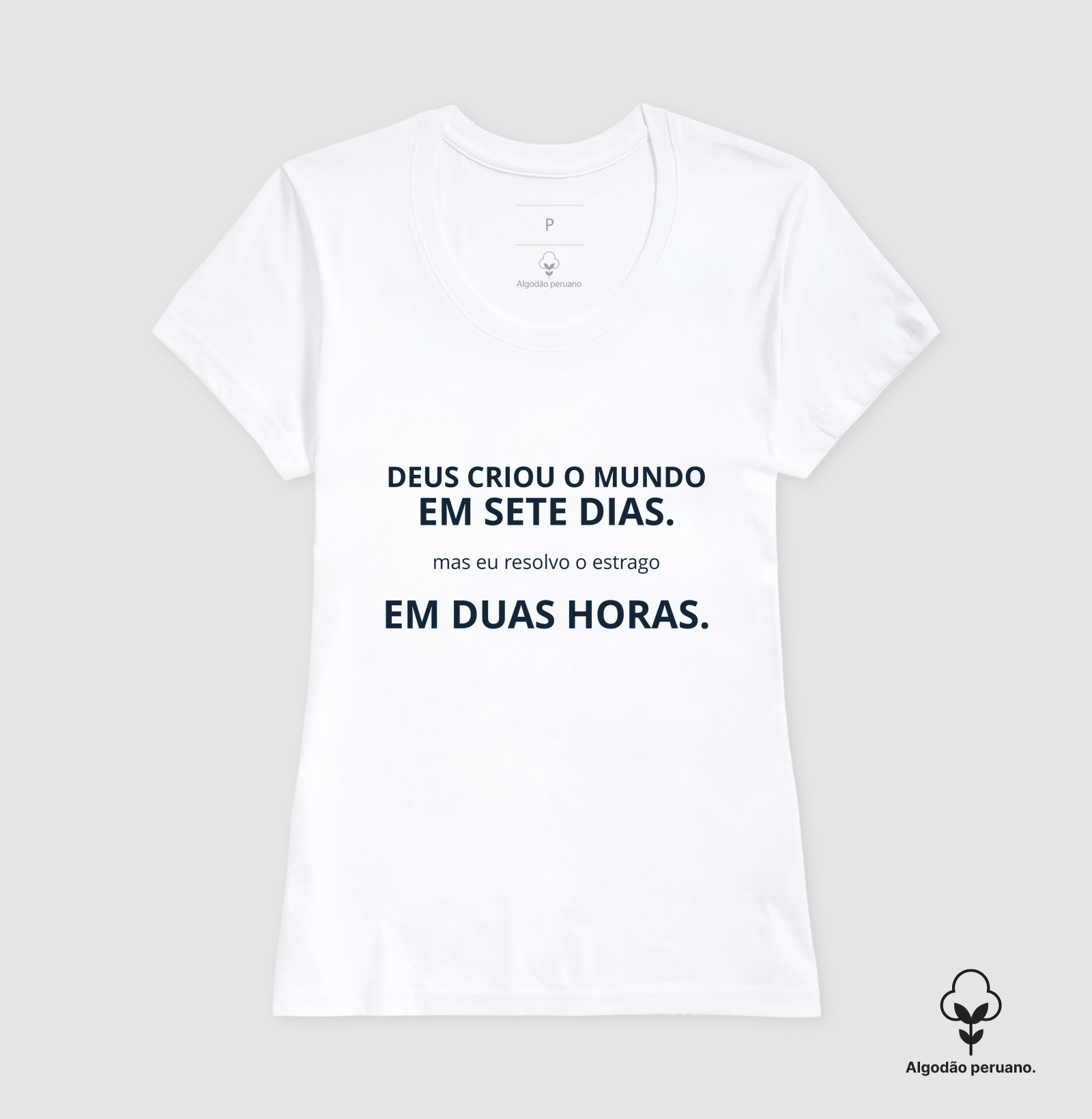 Deus criou o mundo em 2 horas  - Imagem 3