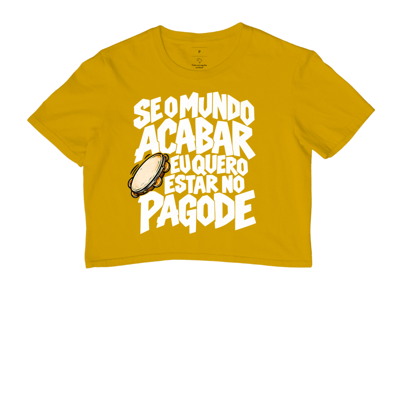 Se o mundo acabar eu quero estar no pagode - Imagem 8