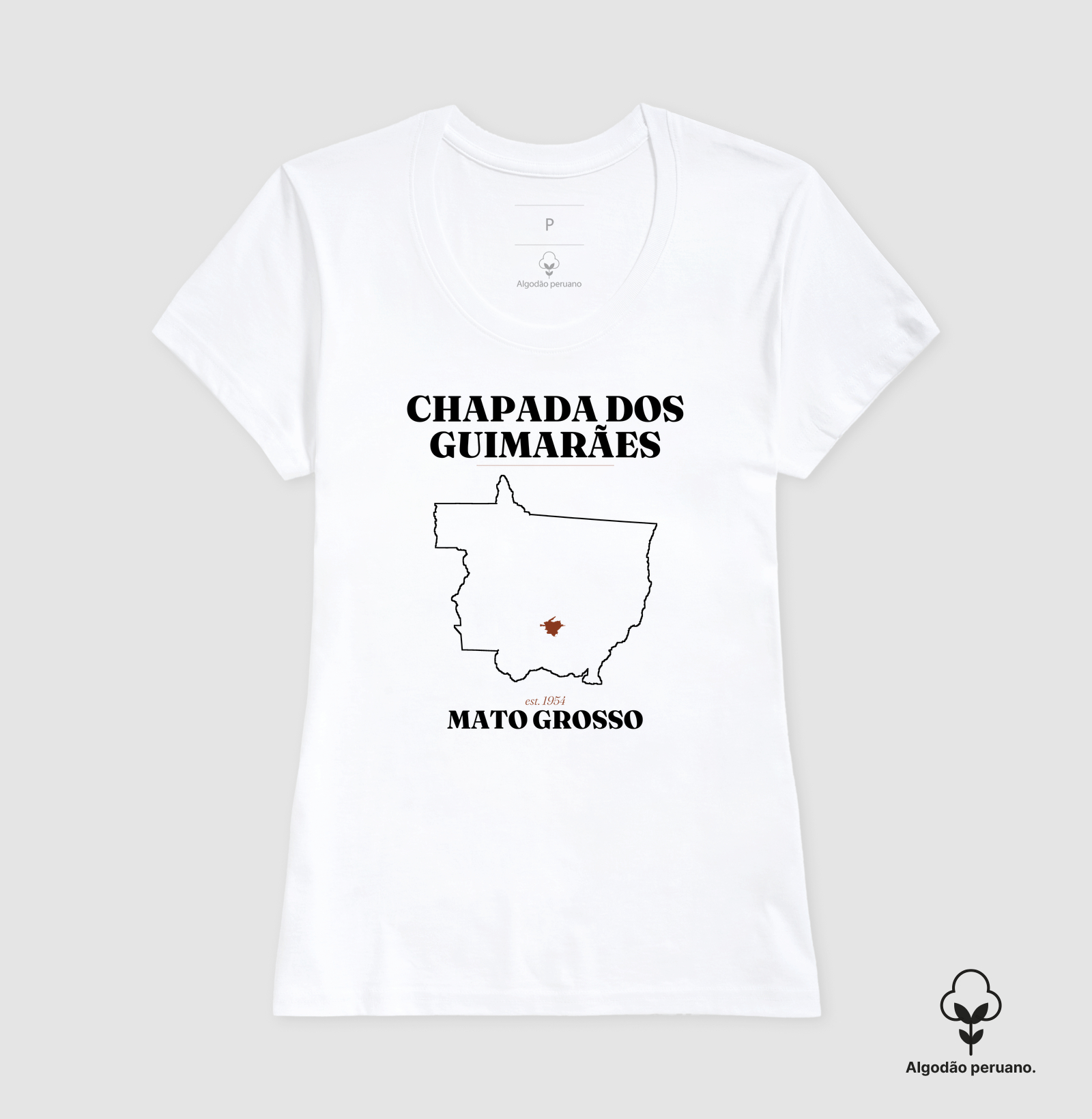 Chapada dos Guimarães | Legado MT - Imagem 7