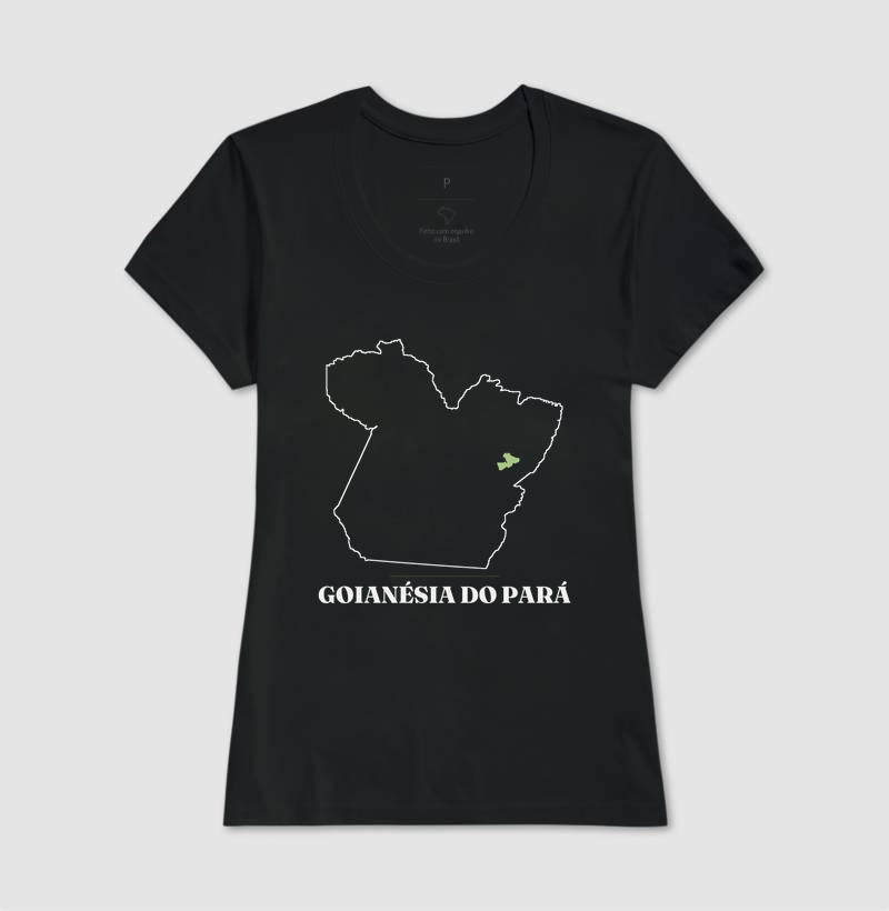 Goianésia do Pará | Traço PA - Imagem 3