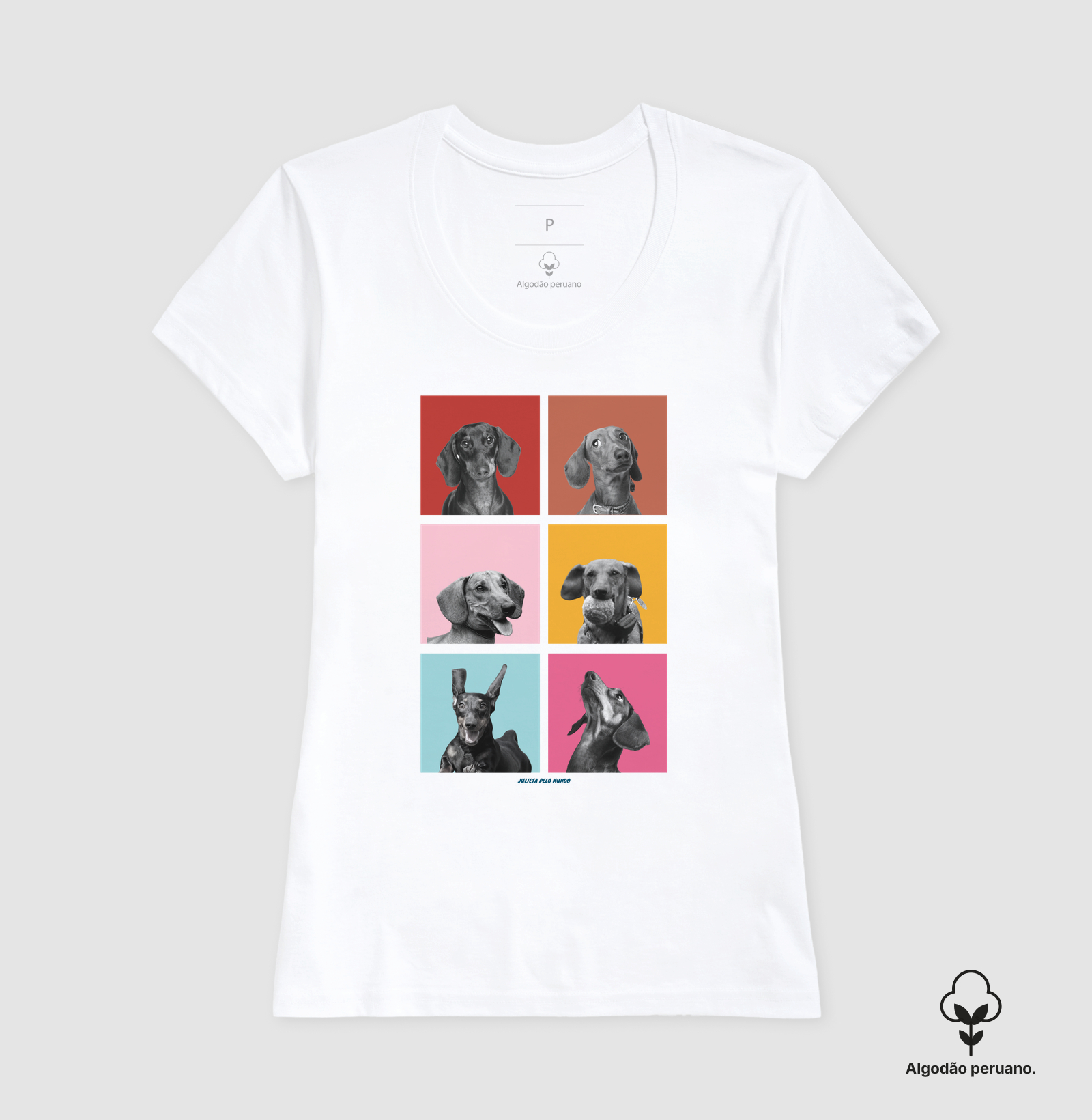 Camisa 6