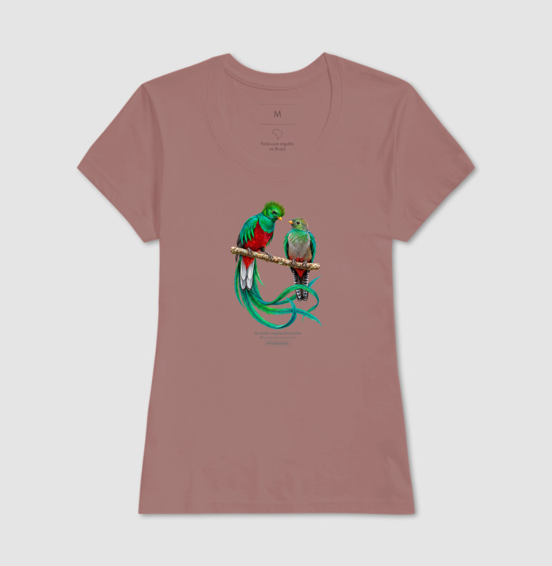 Traços Alados - Quetzal-resplandescente - Imagem 15