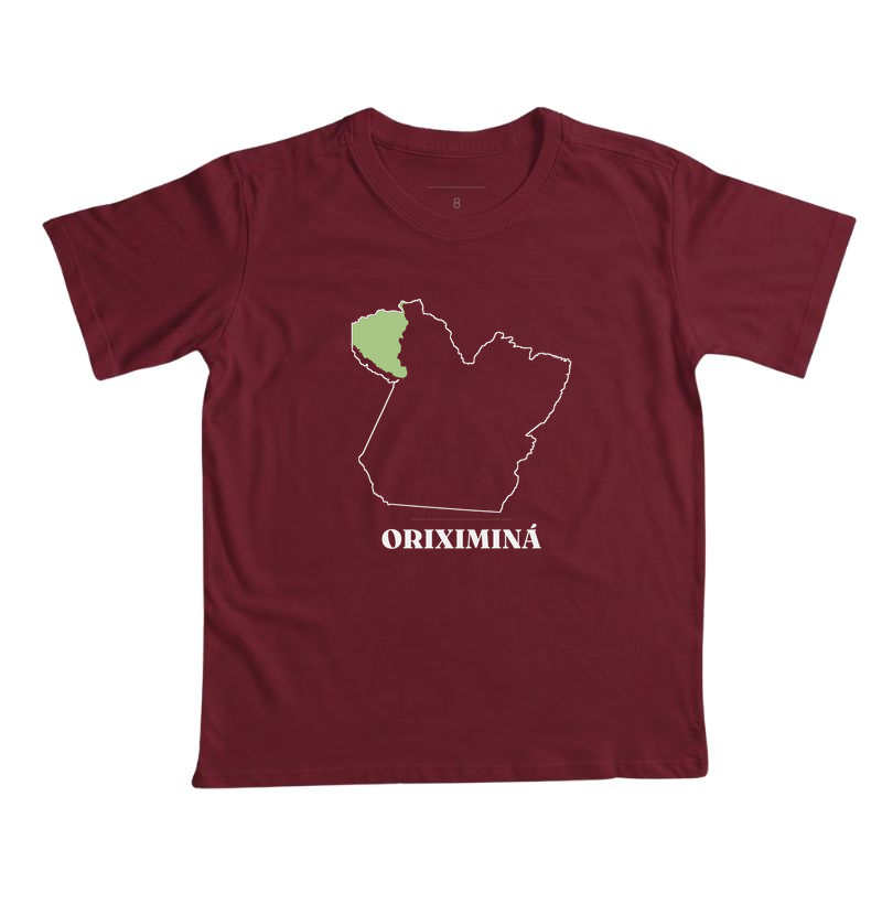 Oriximiná | Traço PA - Imagem 2