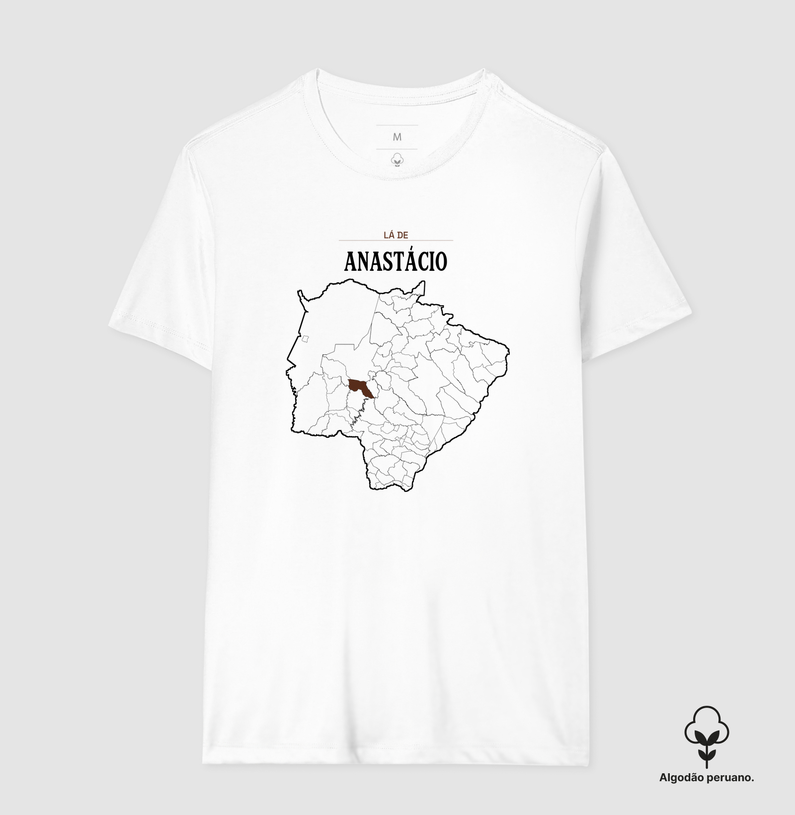 Anastácio | Território MS - Imagem 3