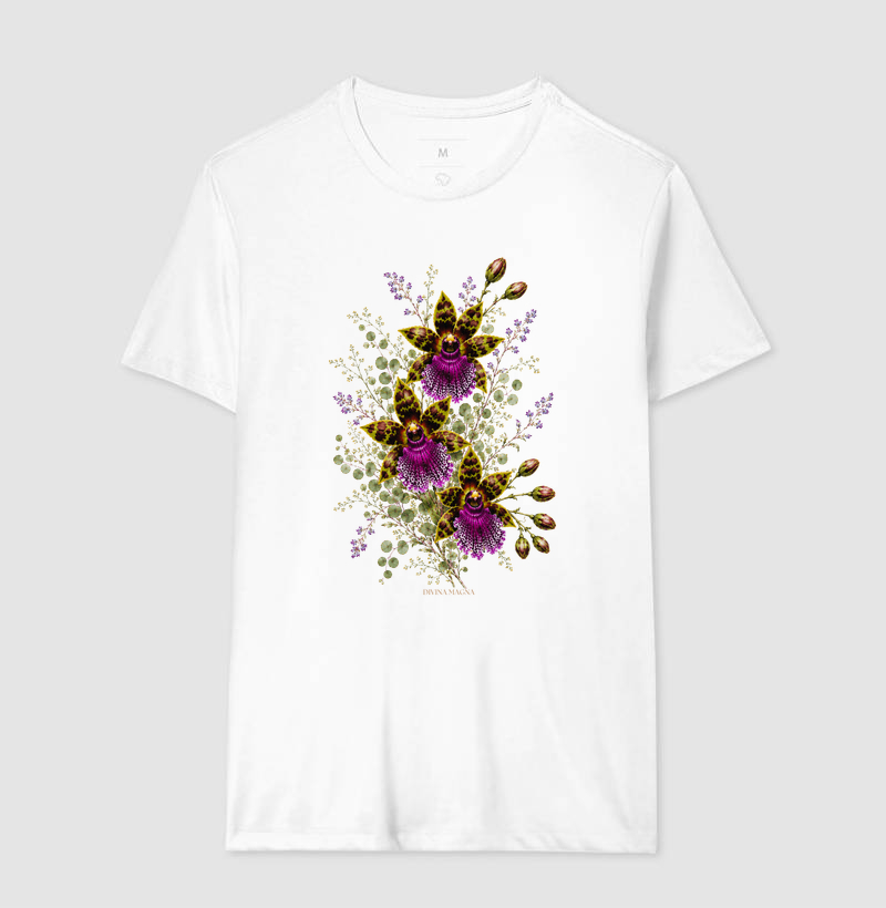 Orquídea Zygopetalum - Imagem 4