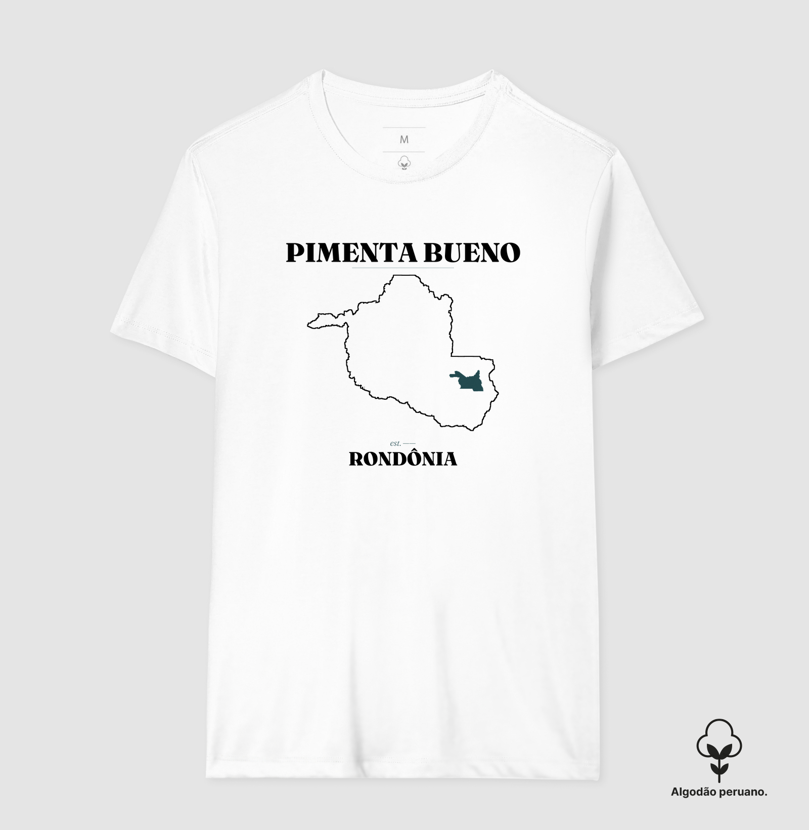 Pimenta Bueno | Legado RO - Imagem 5