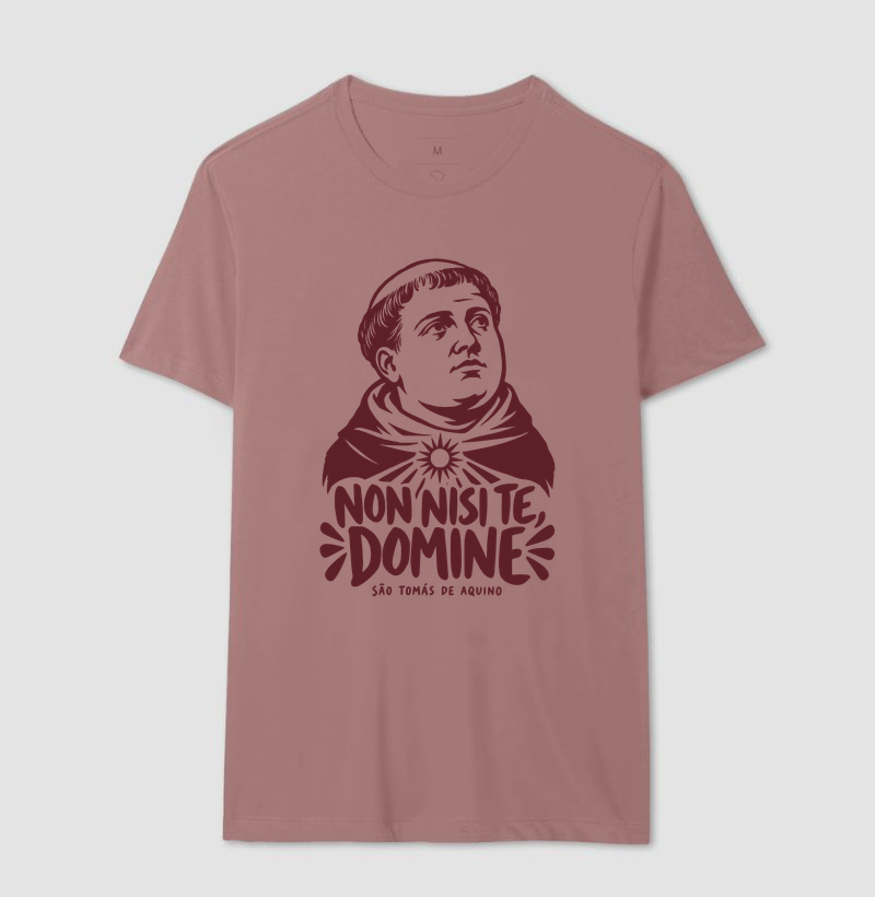 São Tomás de Aquino — Non Nisi Te, Domine - Imagem 8