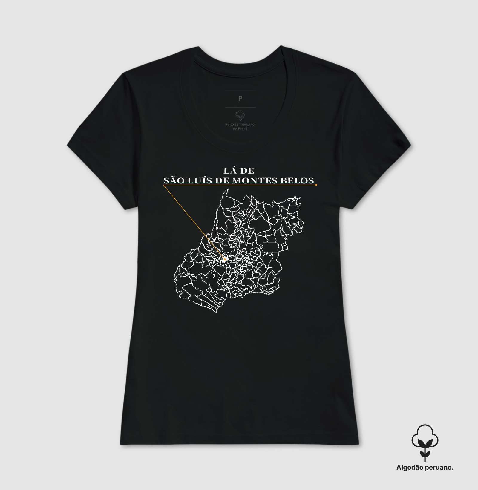 São Luís de Montes Belos | Origem GO - Imagem 5