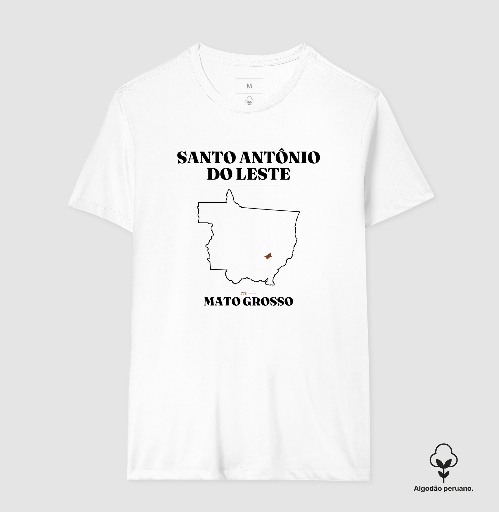 Santo Antônio do Leste | Legado MT - Imagem 2