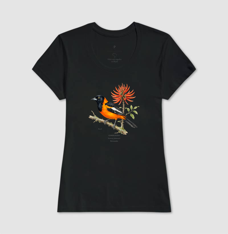 Naturalistas - Corrupião - Imagem 5