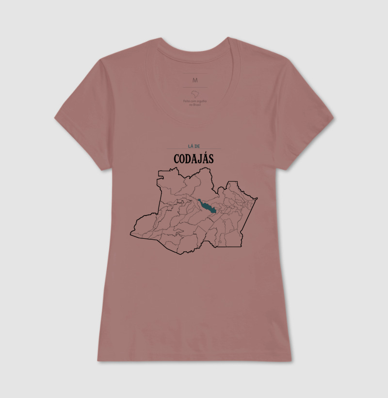 Codajás | Território AM - Imagem 17