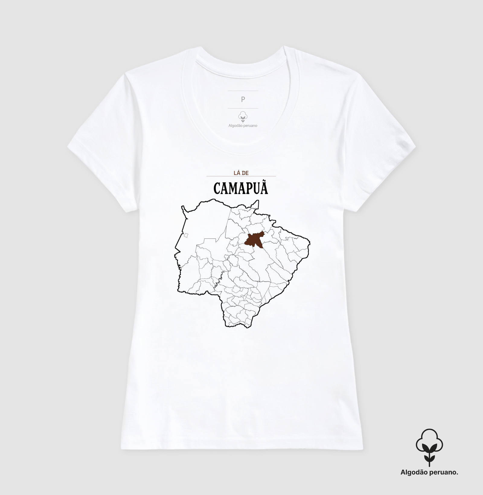Camapuã | Território MS - Imagem 6