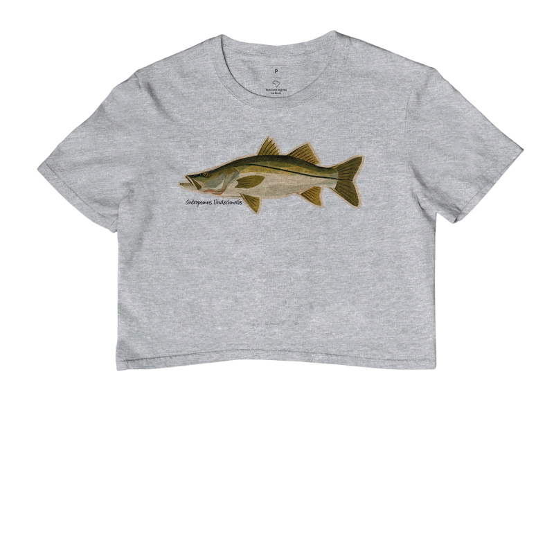 Robalo - Imagem 6