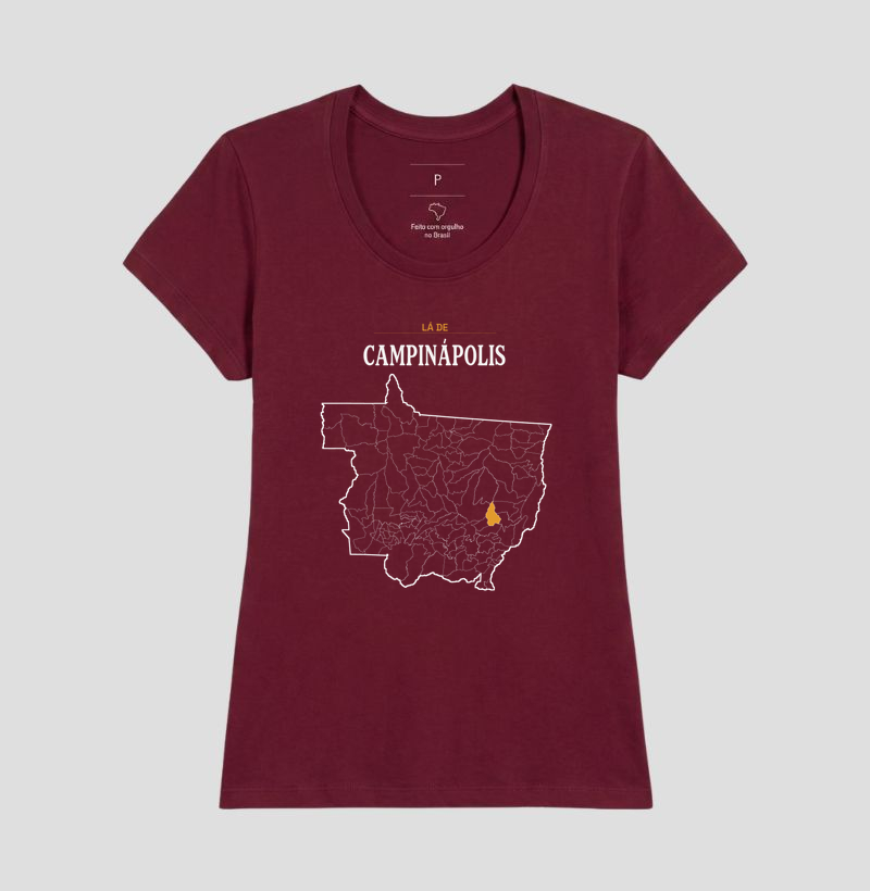 Campinápolis | Território MT - Imagem 19