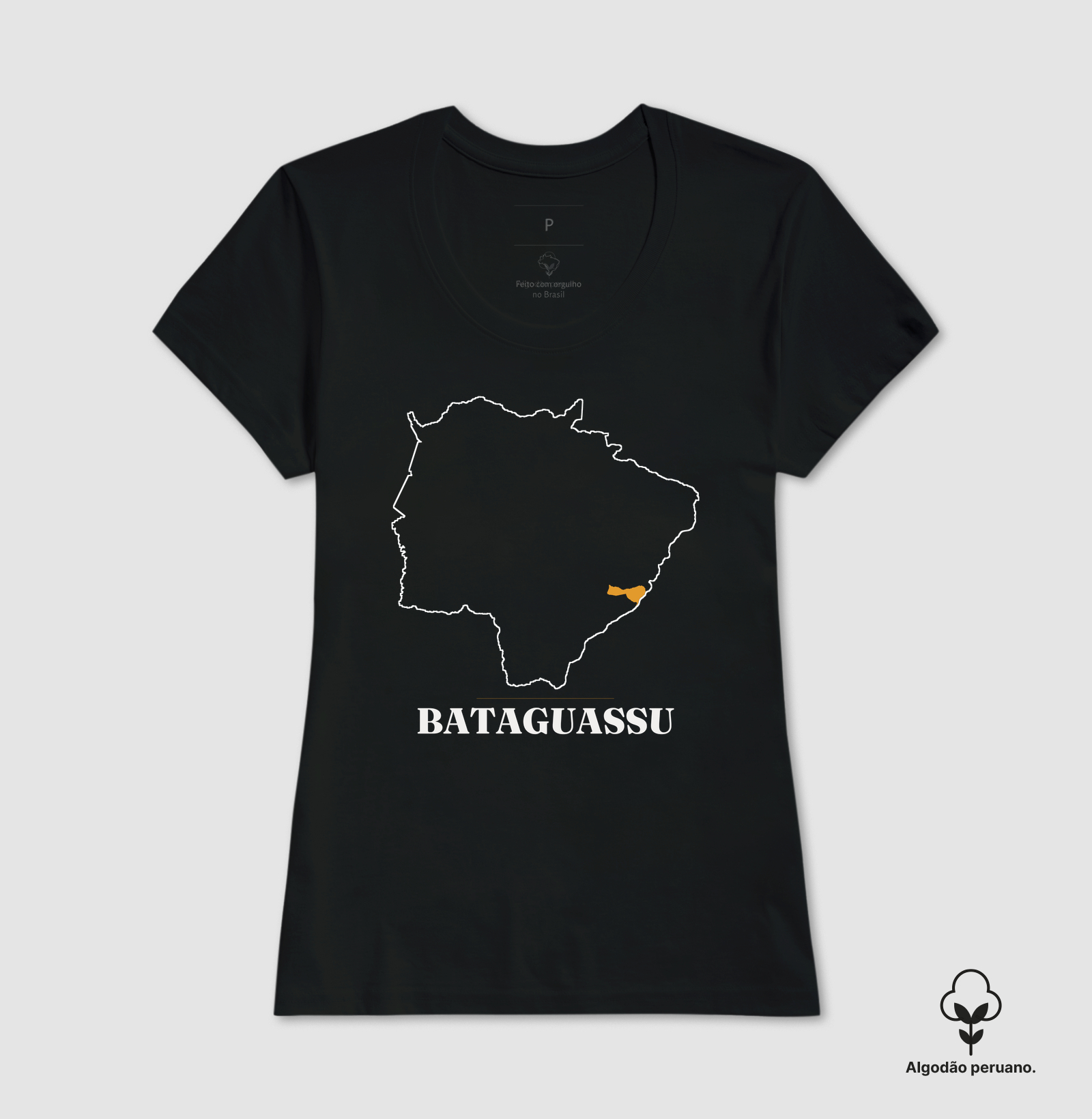 Bataguassu | Traço MS - Imagem 6