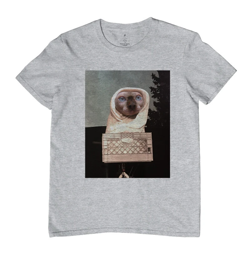 SPHYNX CAT - Imagem 6