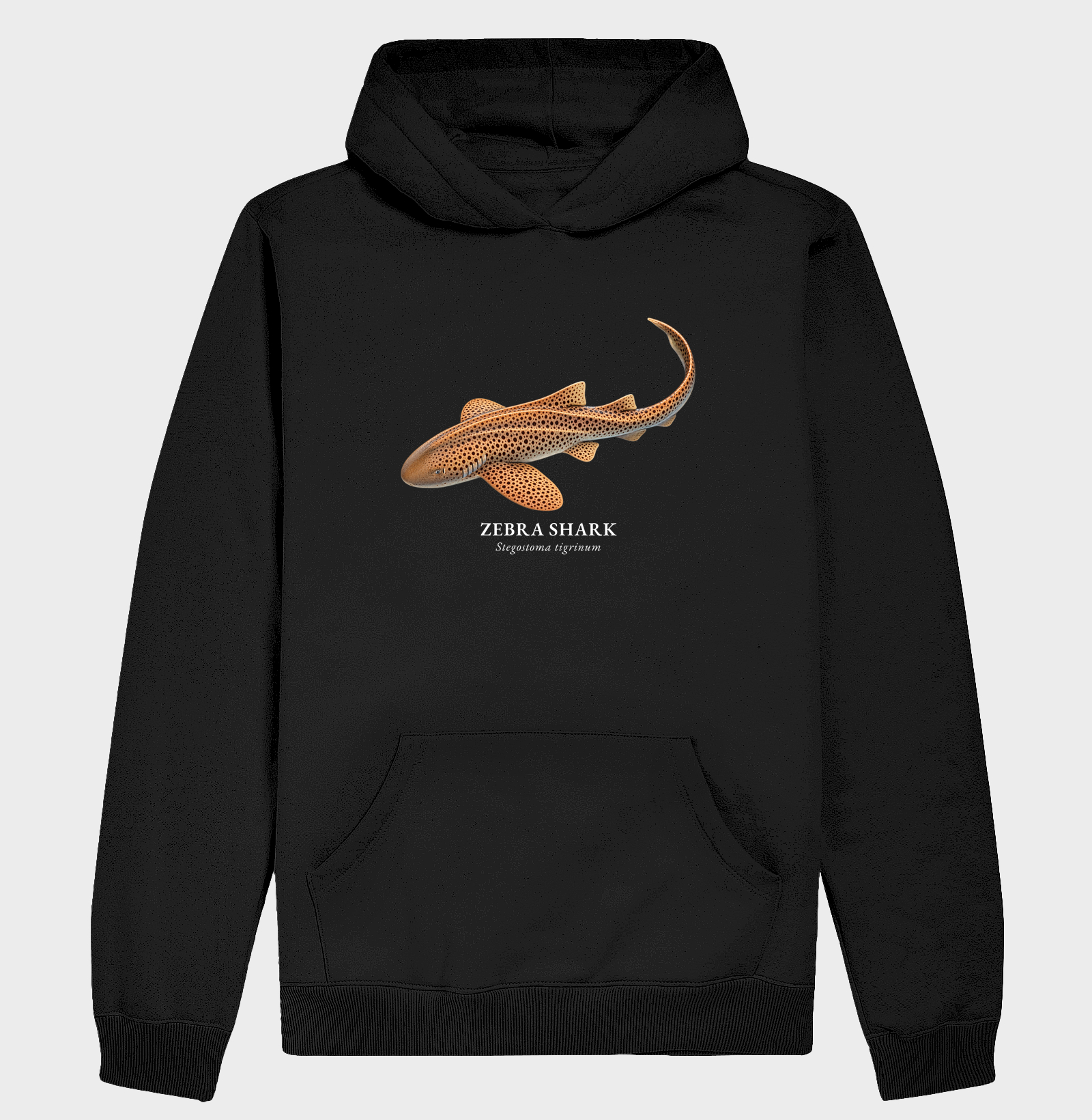 Zebra Shark - Imagem 2