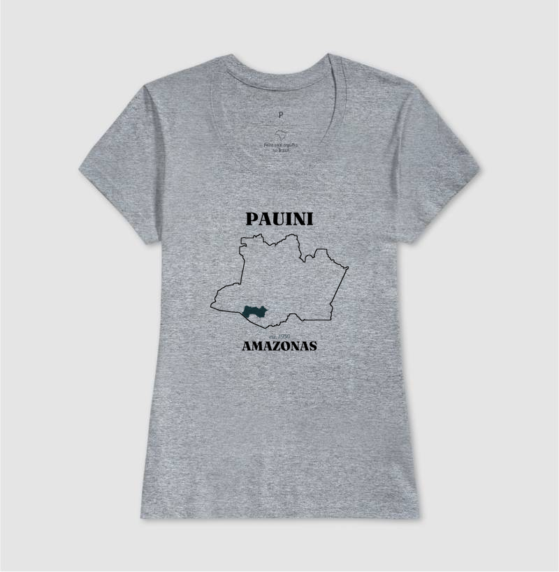 Pauini | Legado AM - Imagem 9