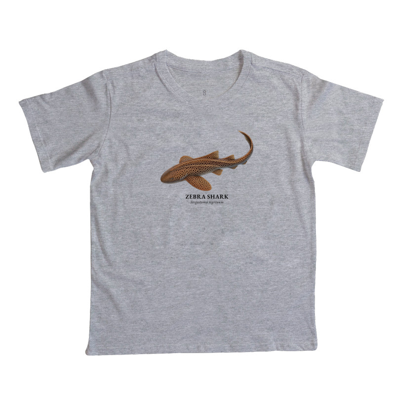 Zebra Shark - Imagem 6