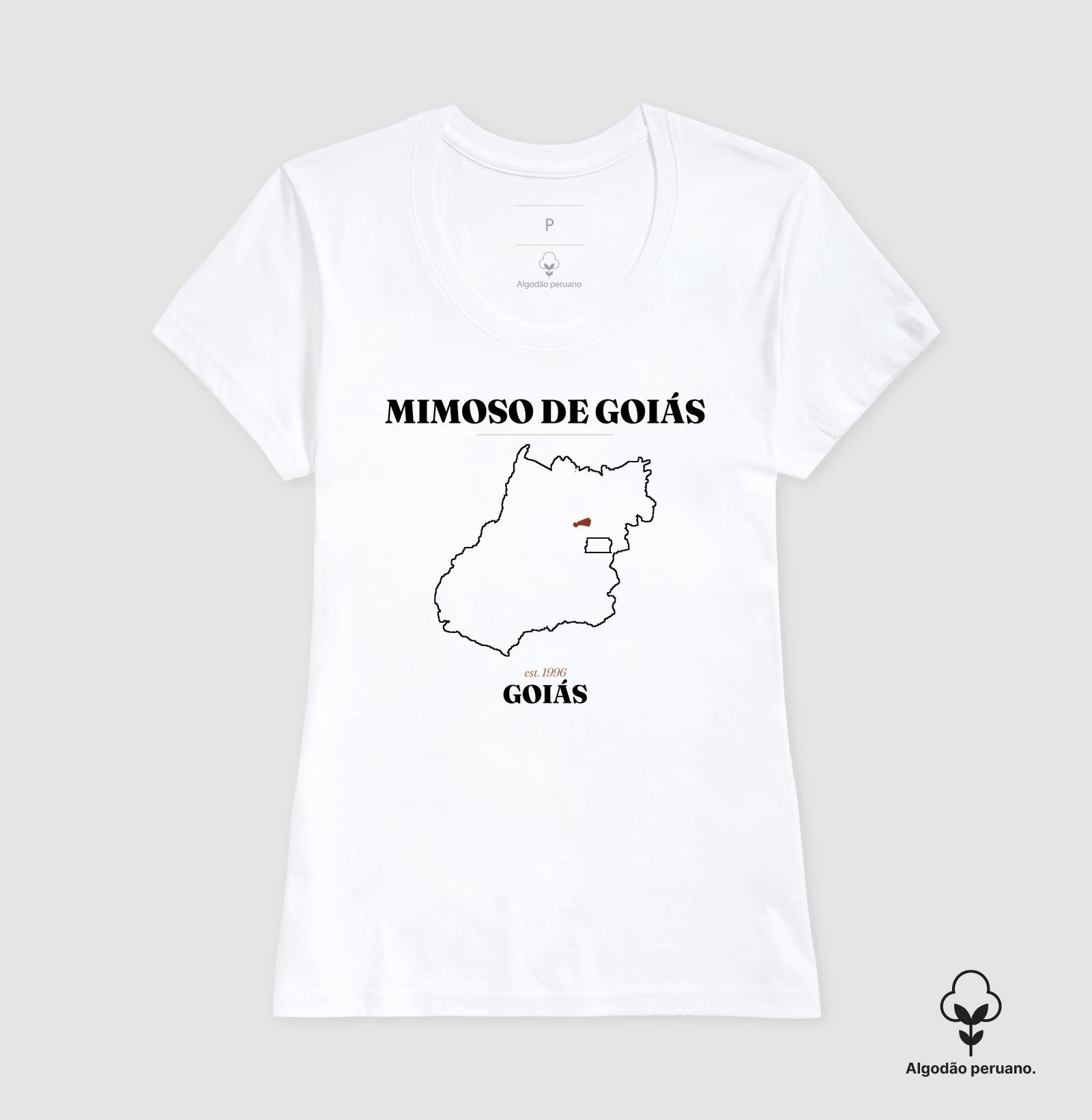 Mimoso de Goiás | Legado GO - Imagem 8