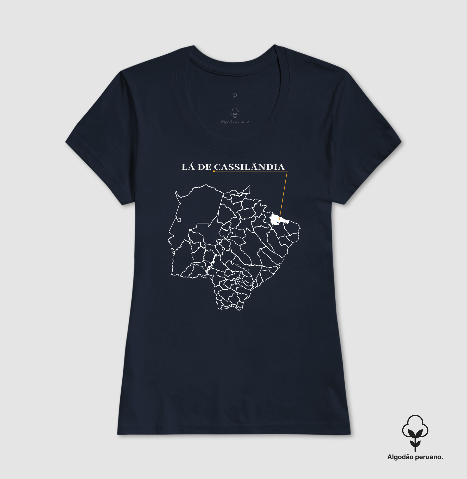 Cassilândia | Origem MS - Imagem 8