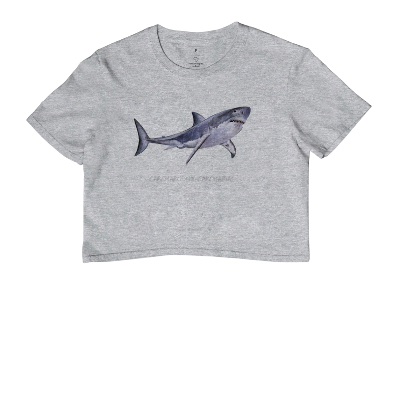 Carcharodon carcharias - Imagem 12