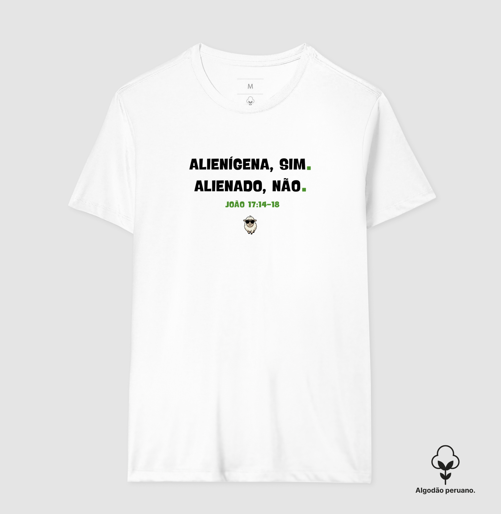 ALIENÍGENA SIM, ALIENADO NÃO - Imagem 9