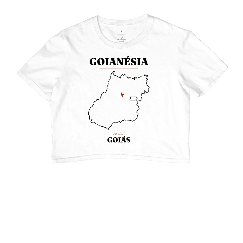 Goianésia | Legado GO - Imagem 3