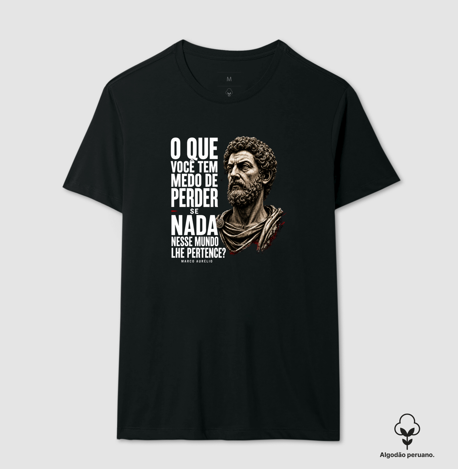 Filosofia de Marco Aurélio - O que você tem medo? - Imagem 5