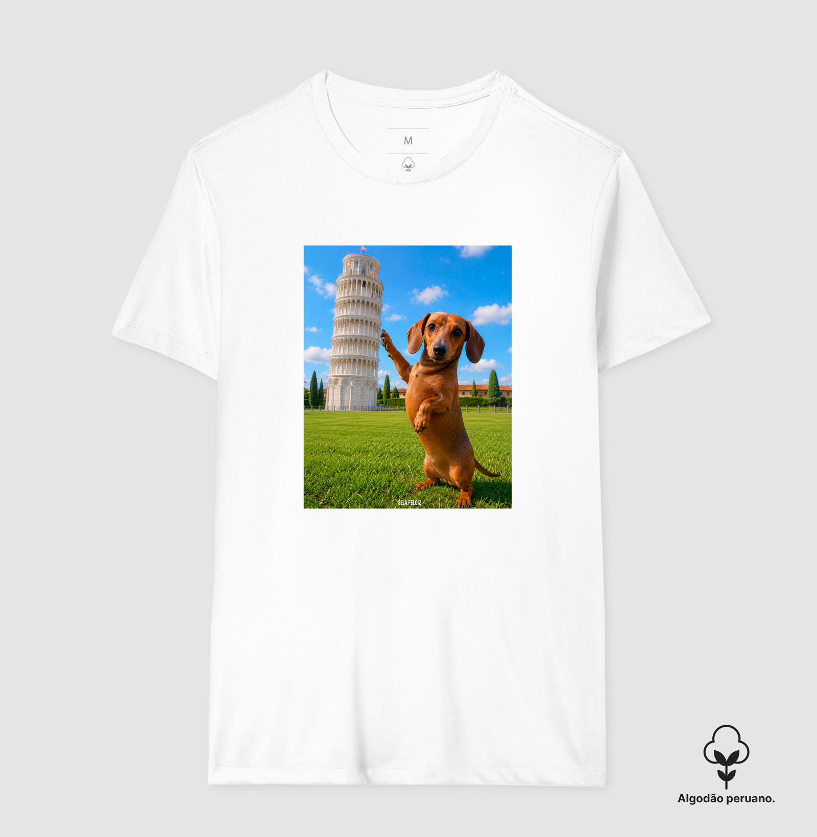 🐾 Salsichito em Pisa - Imagem 8