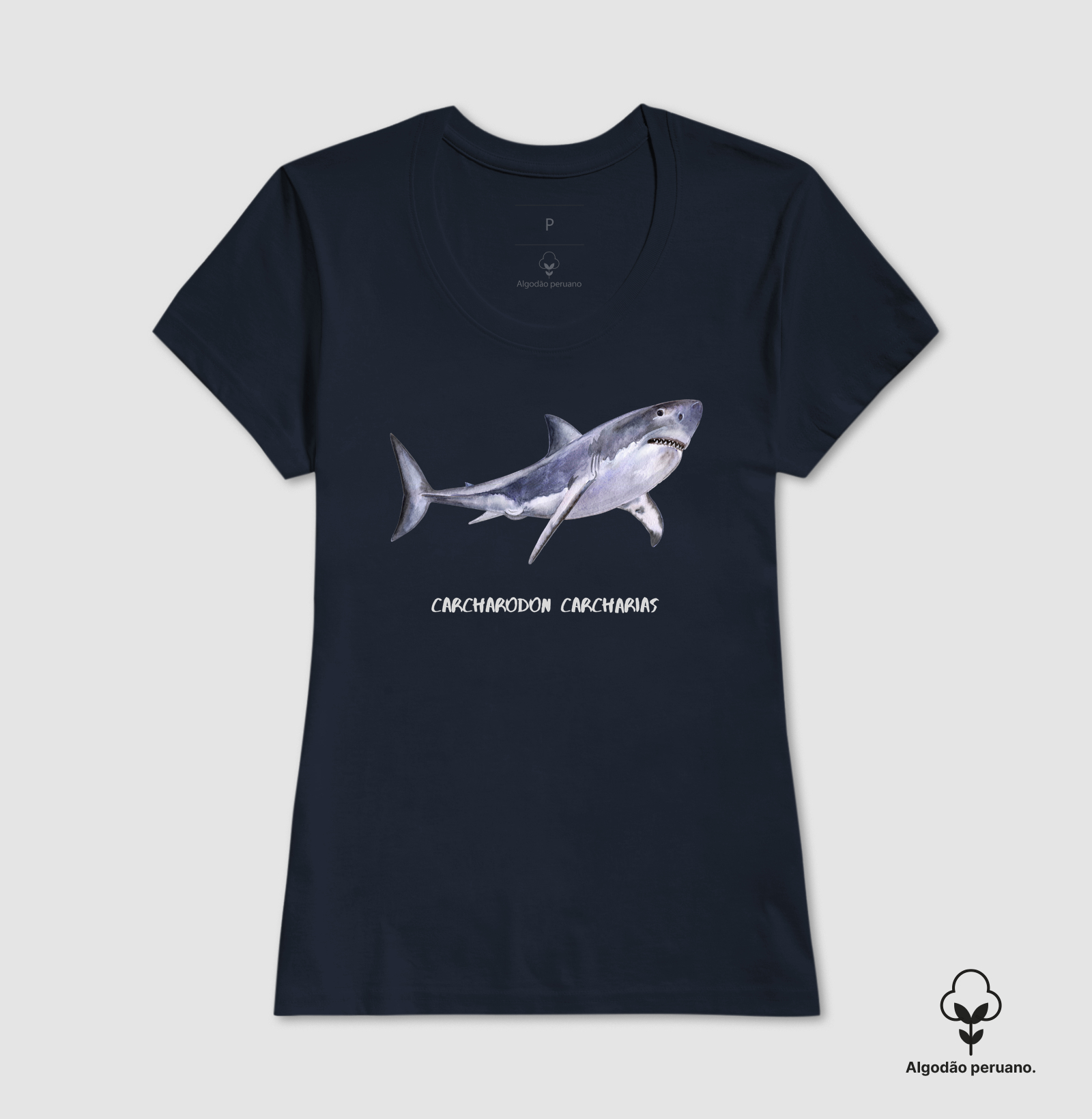 Carcharodon carcharias - Imagem 9