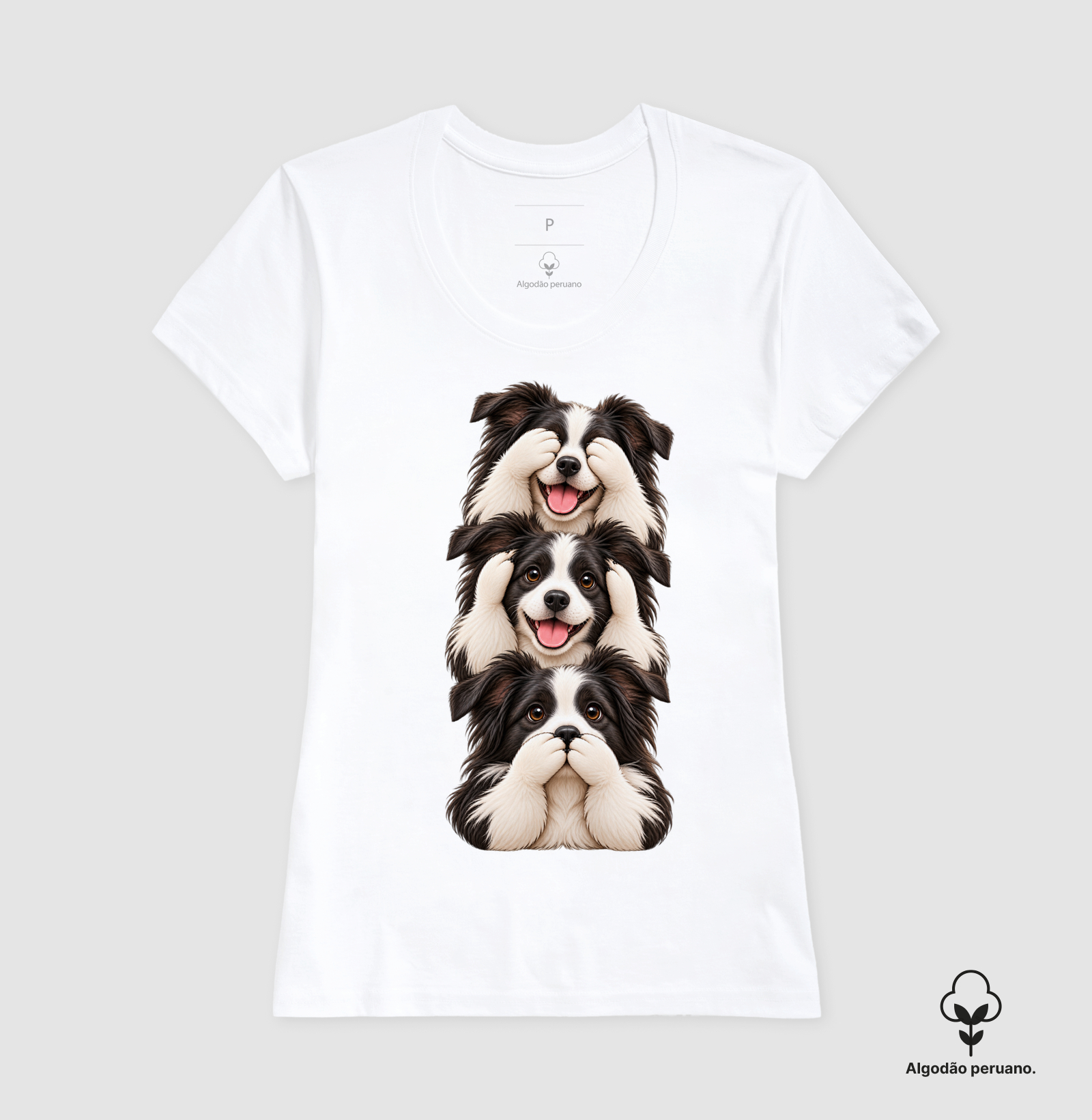 Ver, ouvir e falar Border Collie - Imagem 3