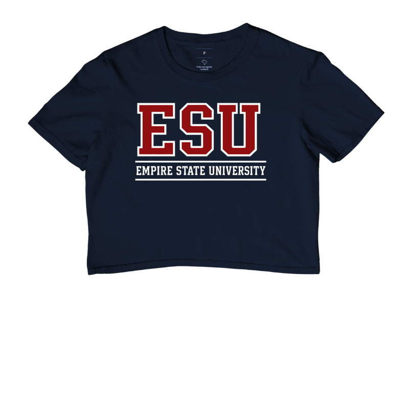 Empire State University - Imagem 3