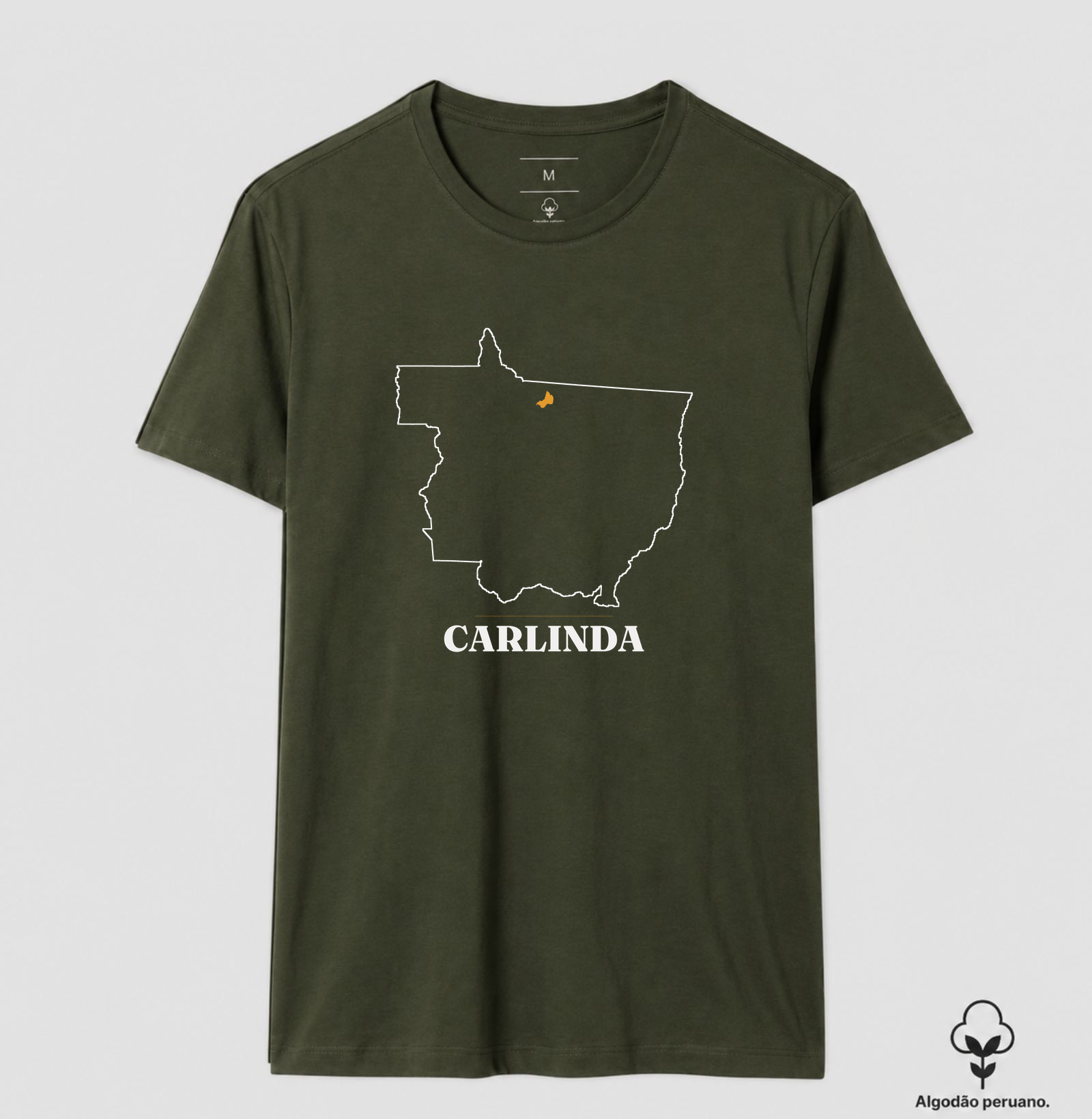 Carlinda | Traço MT - Imagem 5