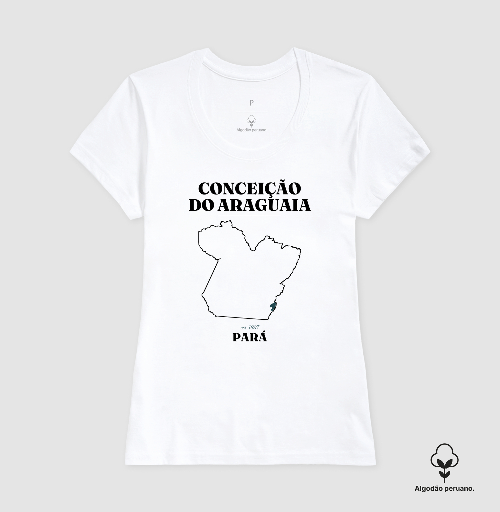 Conceição do Araguaia | Legado PA - Imagem 6