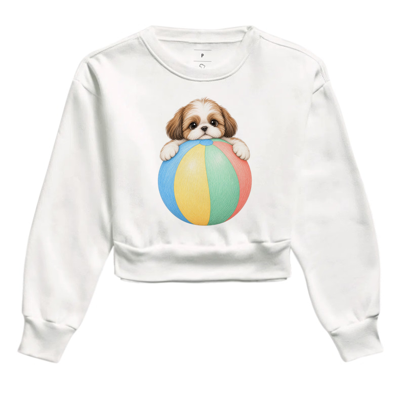 Shih Tzu Filhote Brincando - Imagem 3