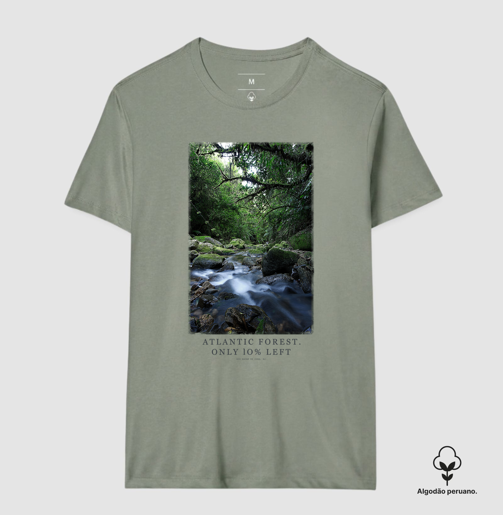 Atlantic Forest - Imagem 4