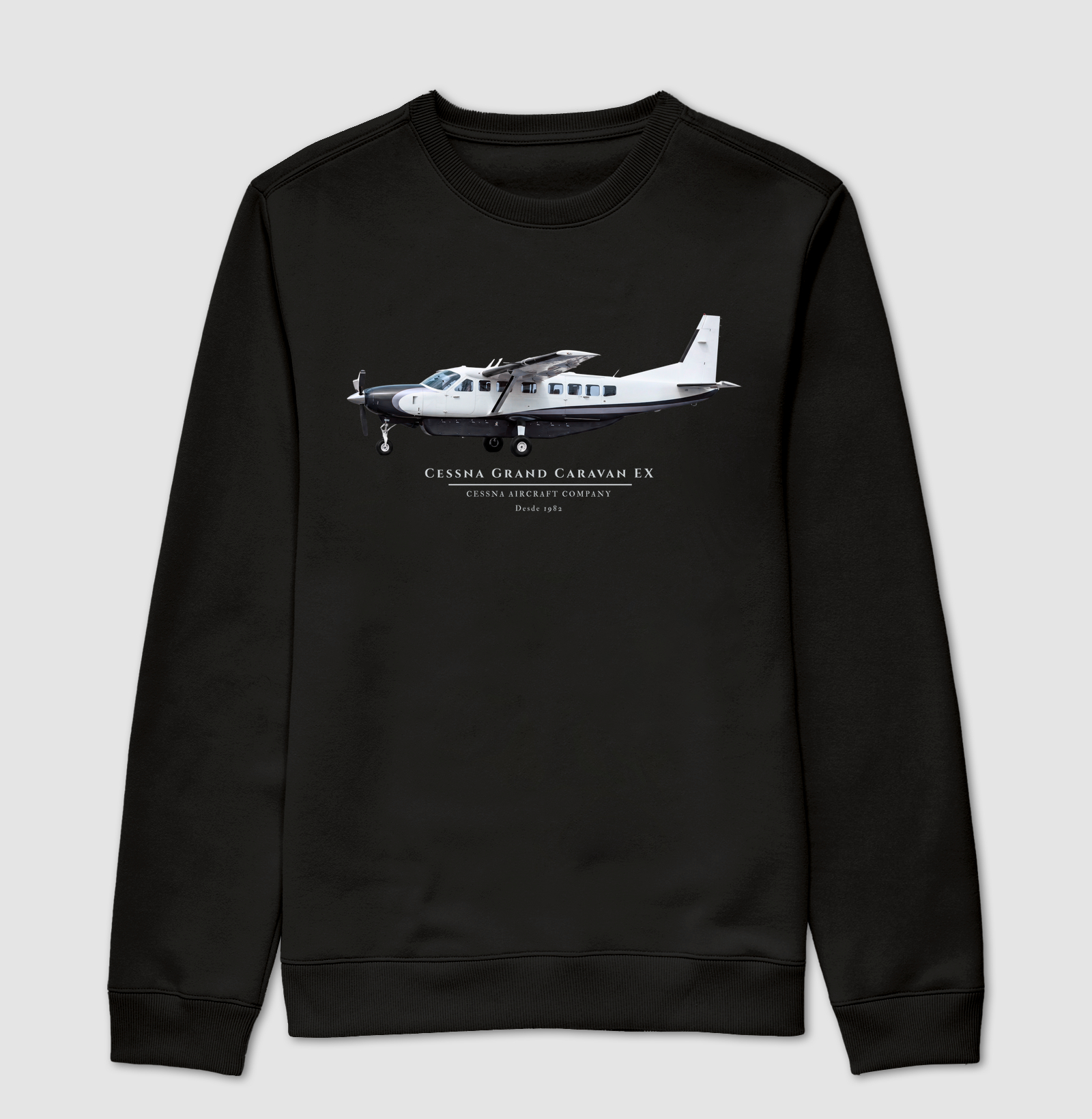 Cessna Grand Caravan EX - Imagem 4