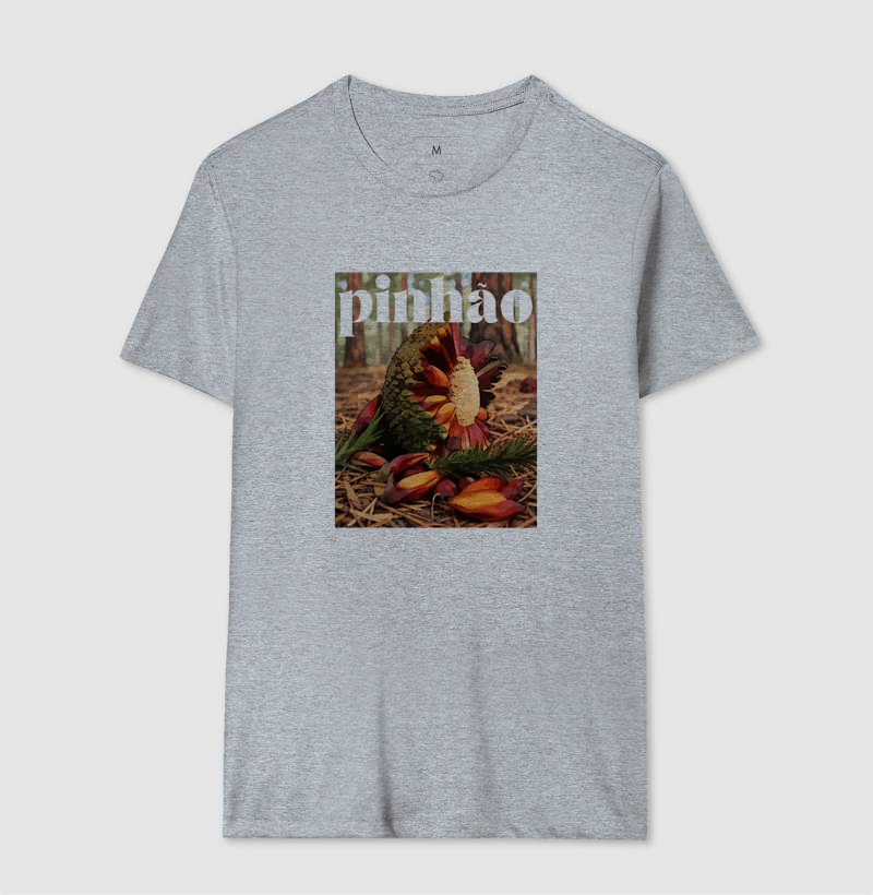 Pinhão - Imagem 8