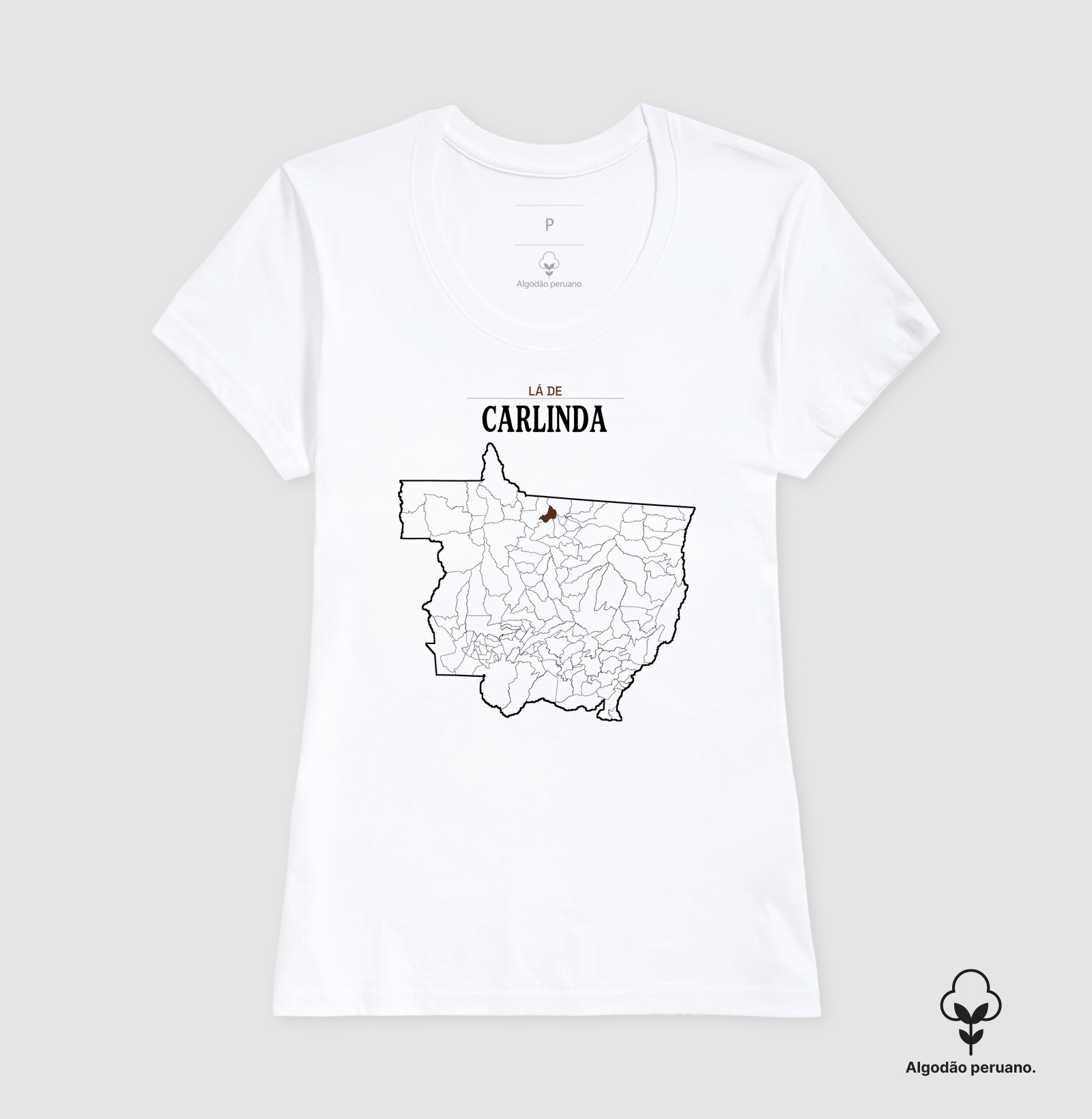 Carlinda | Território MT - Imagem 8