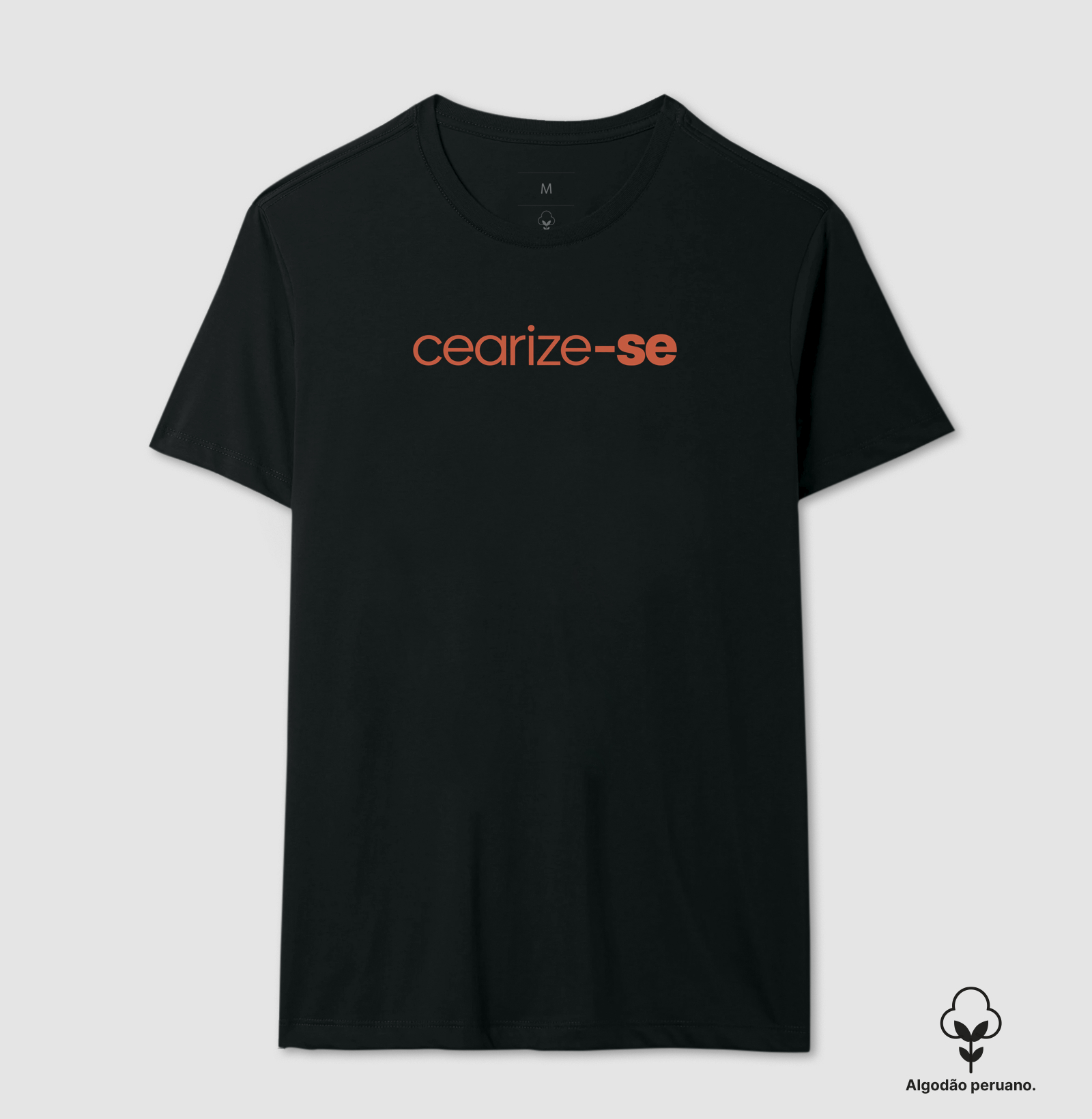 Cearize-se - Imagem 7