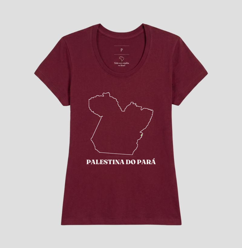 Palestina do Pará | Traço PA - Imagem 19