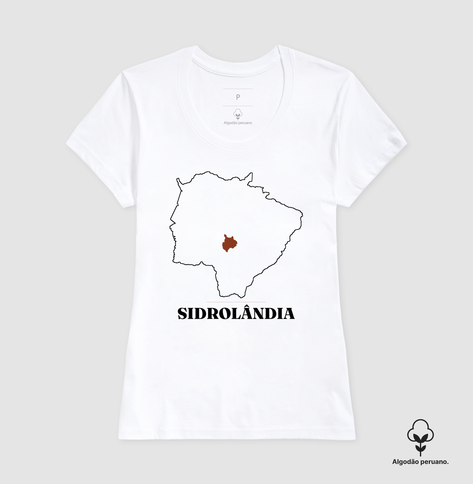 Sidrolândia | Traço MS - Imagem 7