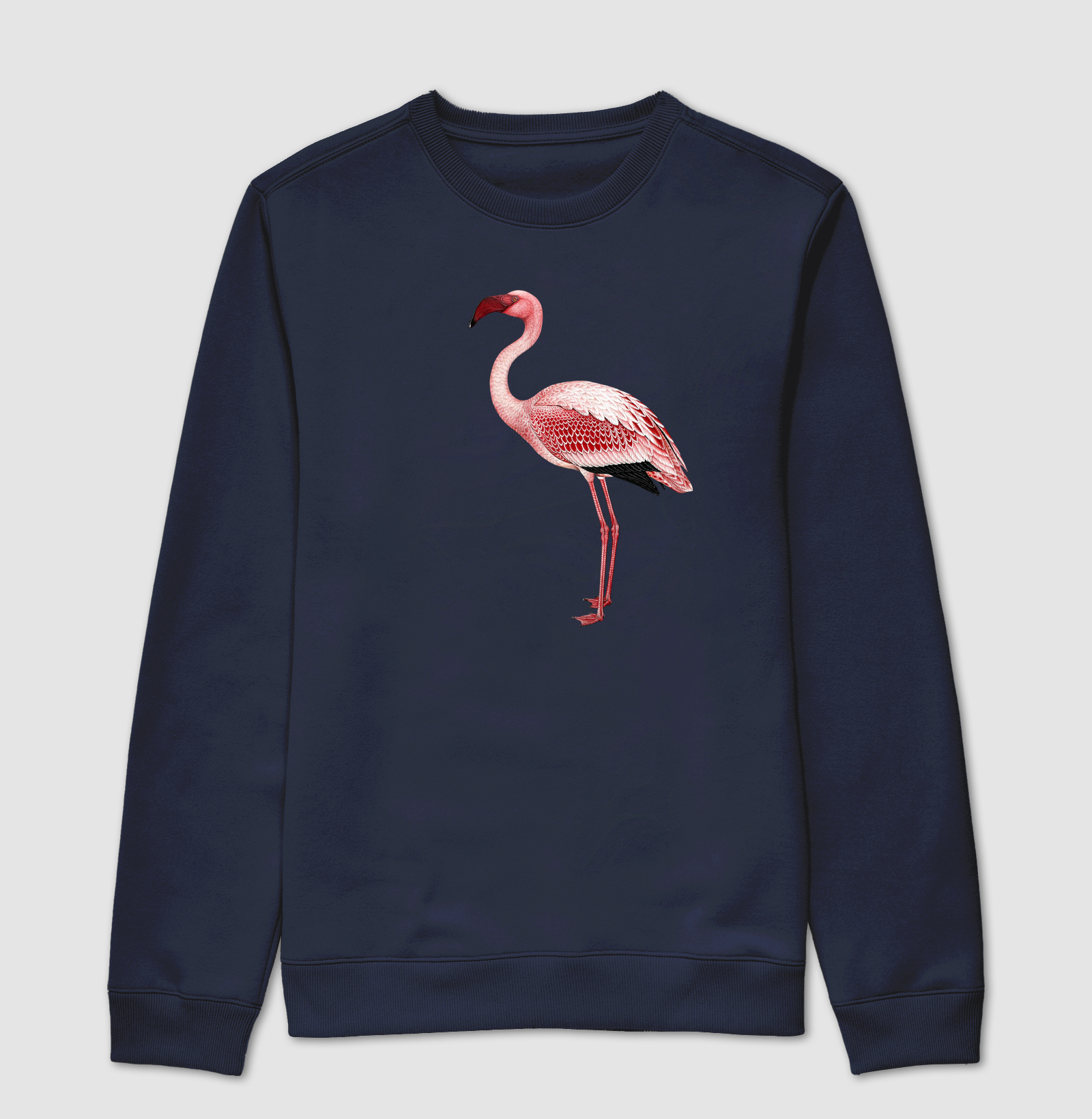 Flamingo - Imagem 5