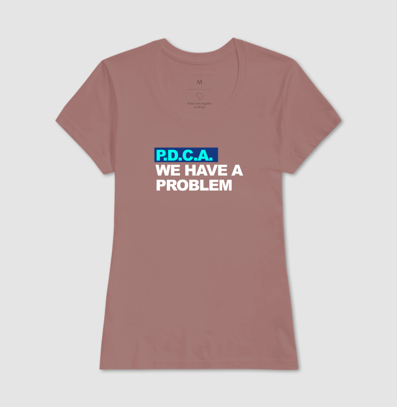 we have a problem PDCA  - Imagem 13