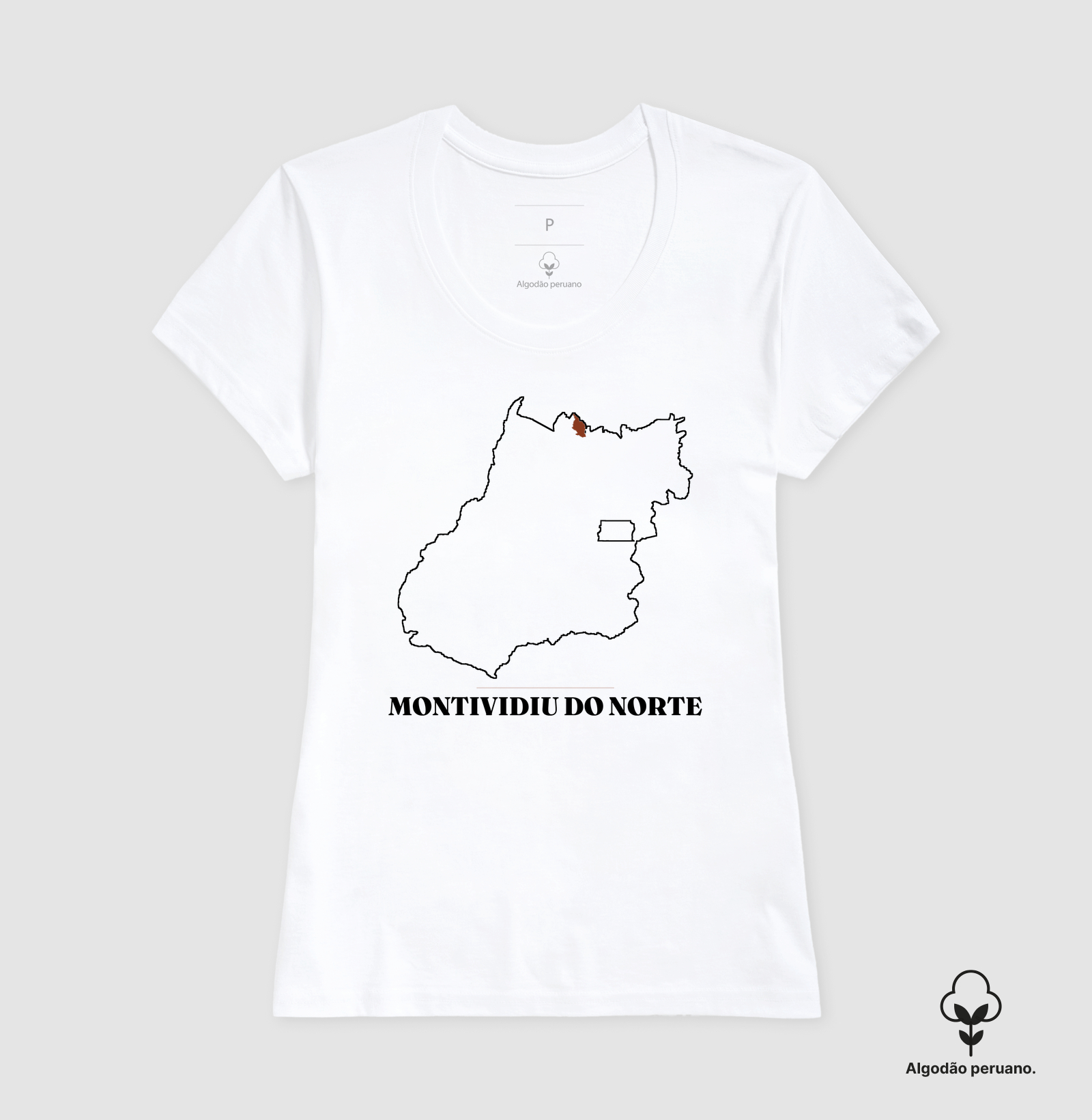 Montividiu do Norte | Traço GO - Imagem 7