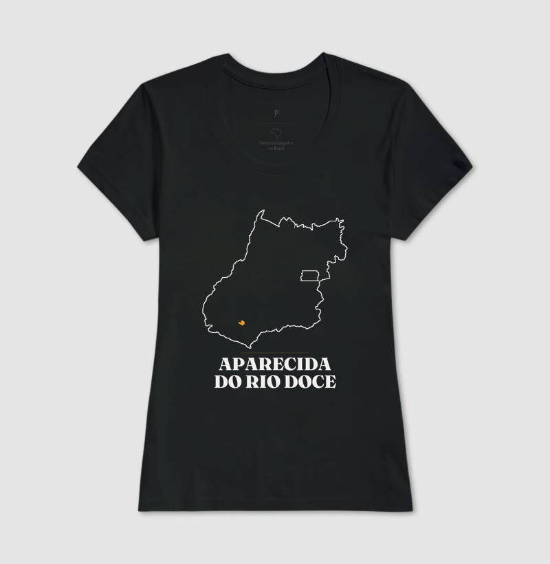 Aparecida do Rio Doce | Traço GO - Imagem 3