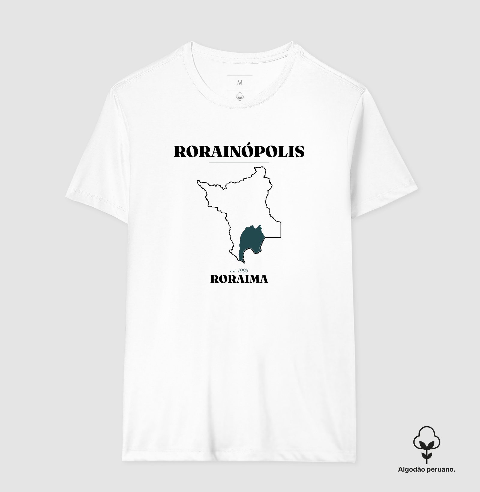 Rorainópolis | Legado RR - Imagem 8