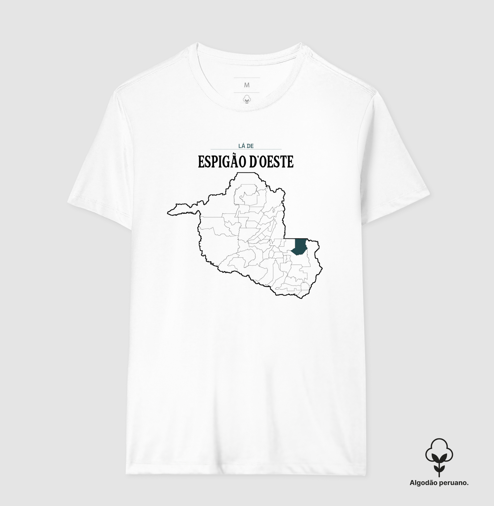 Espigão D'Oeste | Território RO - Imagem 5